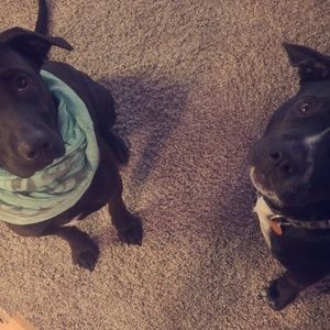 Meet your Posher, Olivia